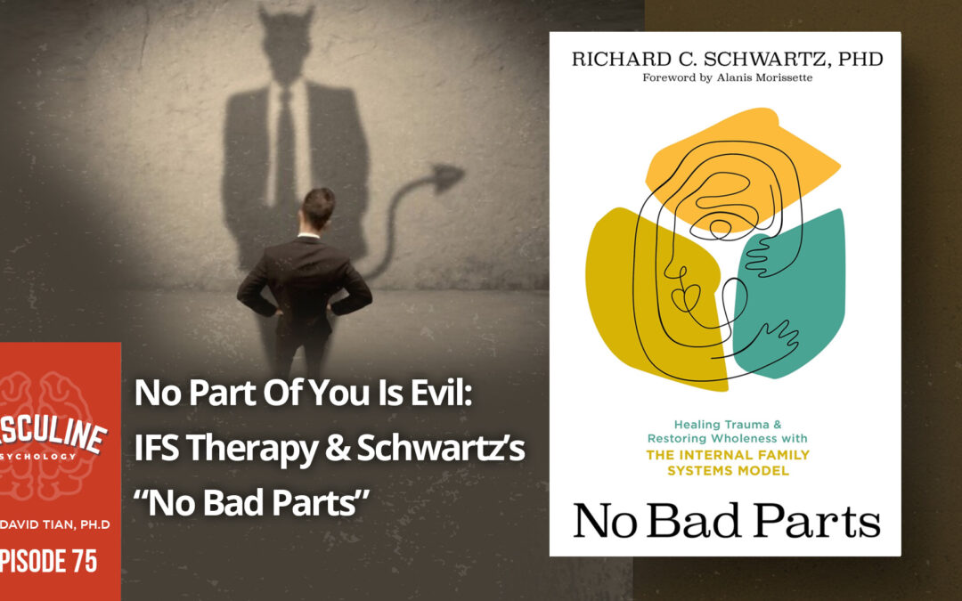 No Part Of You Is Evil: IFS Therapy & Schwartz’s “No Bad Parts” | (#075) The Masculine Psychology Podcast with David Tian