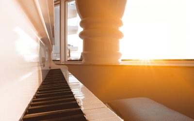 Why You’ve Lost Your Creativity, Curiosity, and Spark After Success