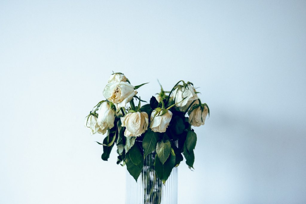 Is Marriage Worth It? Why the Wedding Is the Wrong Question.
