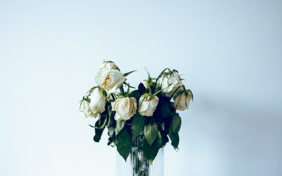 Is Marriage Worth It? Why the Wedding Is the Wrong Question.