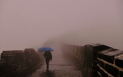 David Tian, Ph.D. | Private Adviser to Founders & High Achievers on the Inner Life of Success Why You Stopped Believing in Moral Goodness